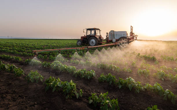 Best Pest Control Cost  in Artondale, WA