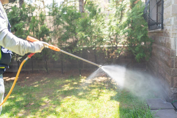 Insect Control in Artondale, WA