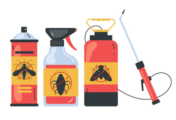 Best Termite Control Services  in Artondale, WA