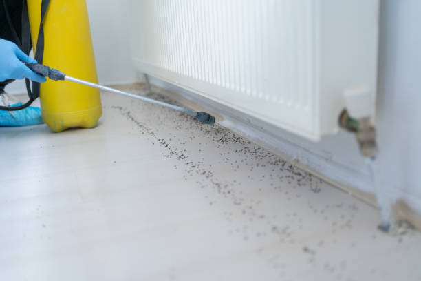 Best Pest Control for Homes  in Artondale, WA