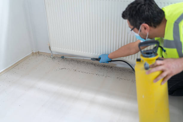 Best Pest Control Treatment  in Artondale, WA
